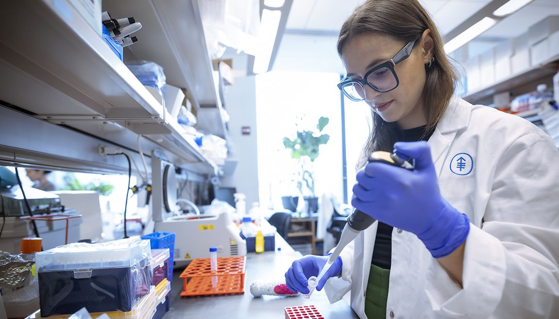 The Society Campaign