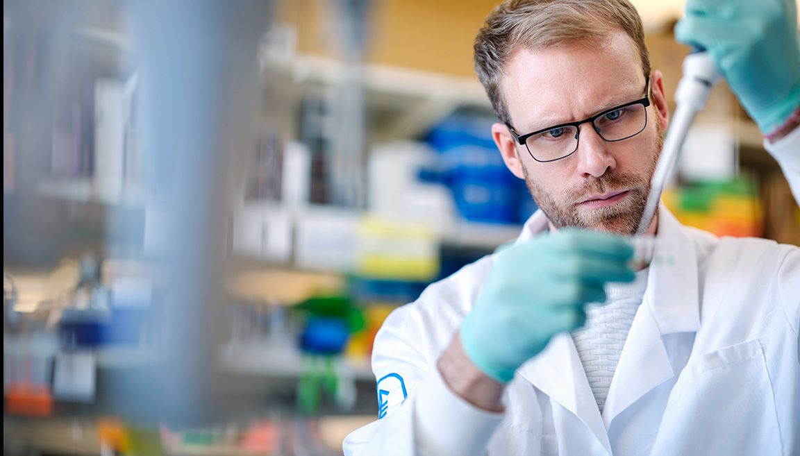 Harnessing the immune system 