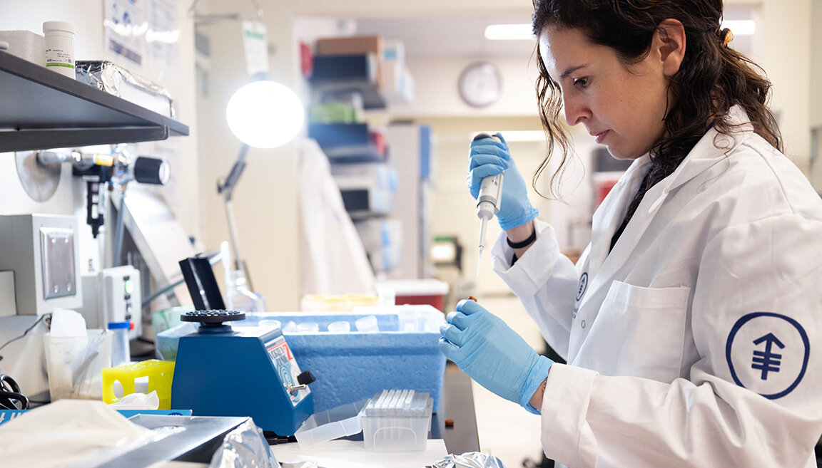 Sustaining innovation 